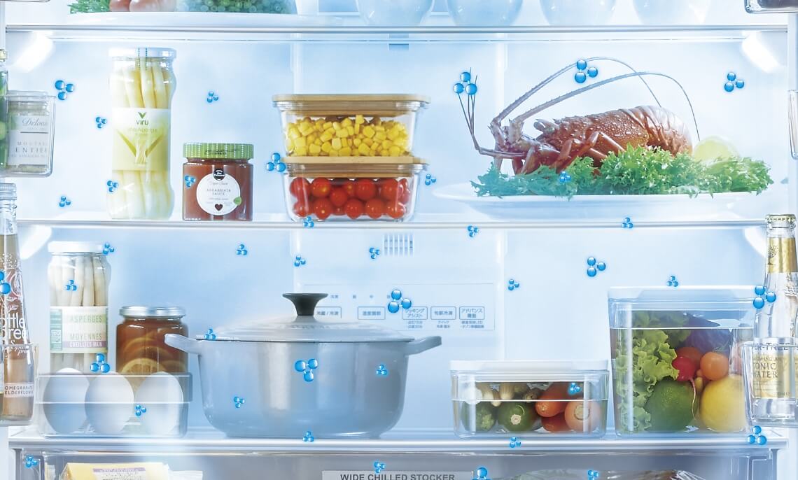 Special Edition Model｜AQUA（アクア）