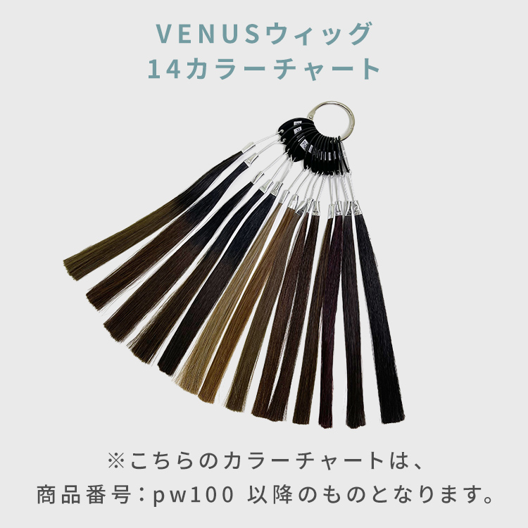 VENUSウィッグ12カラーチャート [wgcc005]