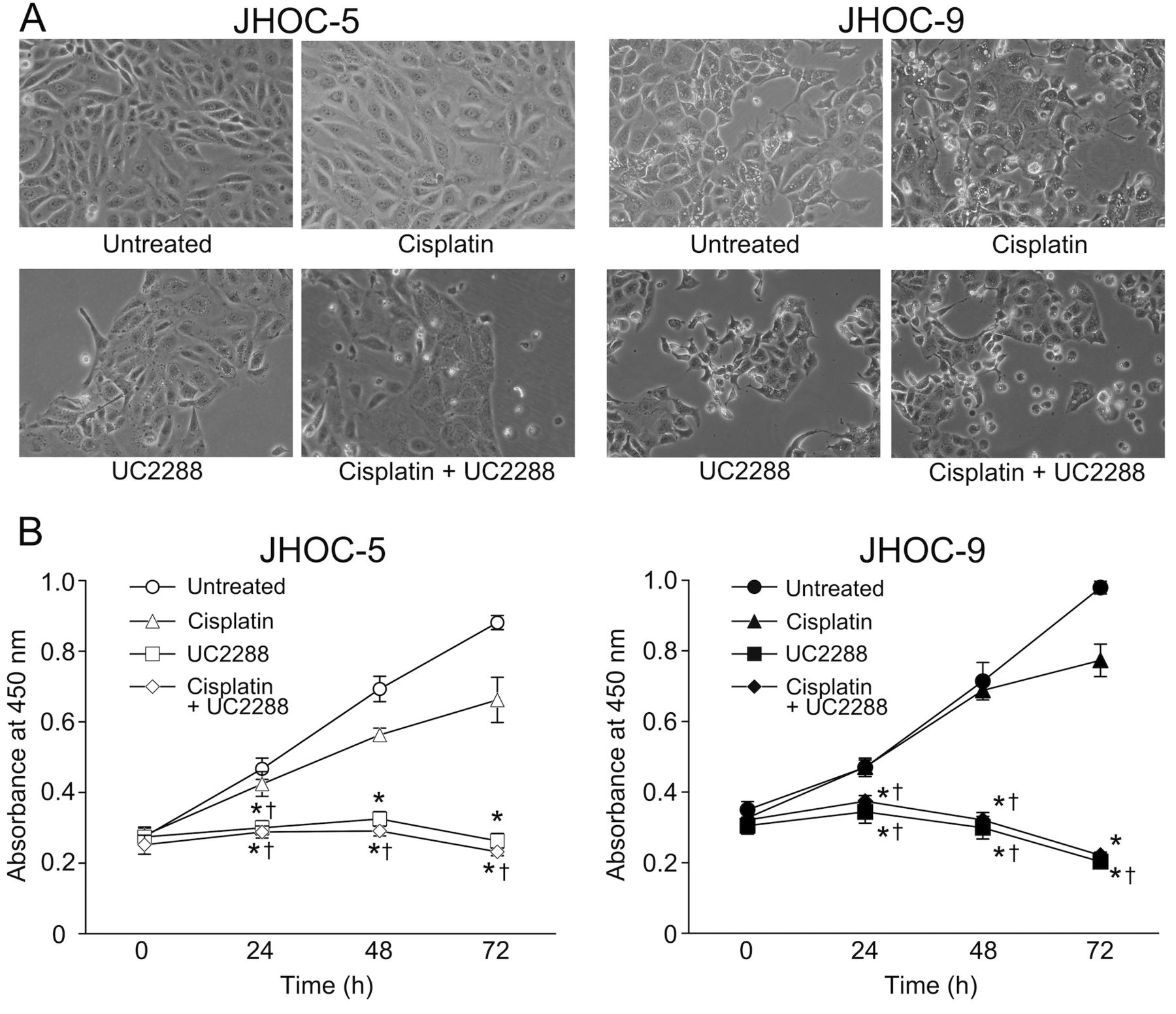 High Expression of p21 as a Potential Therapeutic Target in