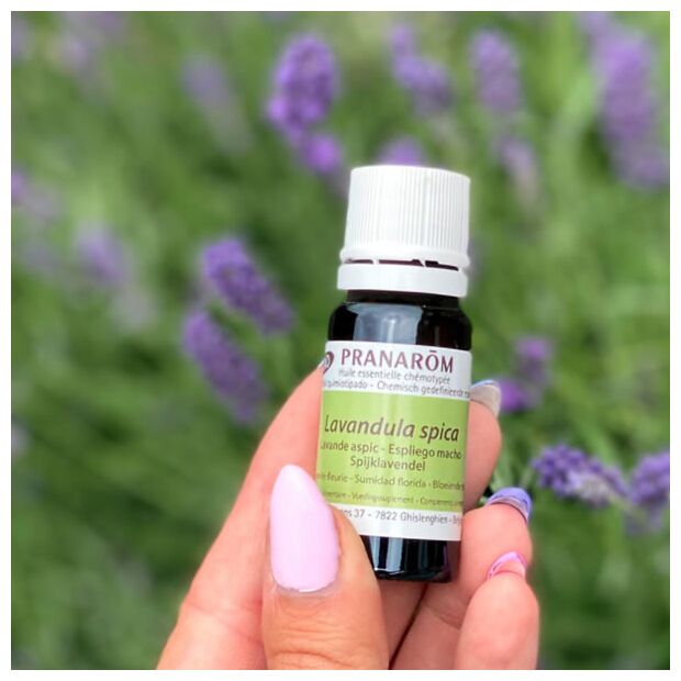 プラナロム ラベンダー スピカ｜アロマ×アロマ