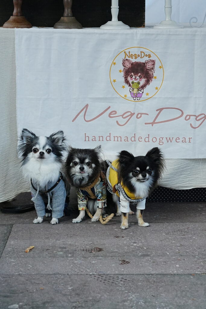 ARCHE! presents ペットフェス2025秋 in 宮城県松島離宮 番外編