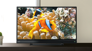 S21/TOP｜テレビ｜REGZA：東芝