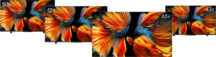 倍速パネル搭載 シンプル4K液晶レグザ「Z570Kシリーズ」発売｜TVS