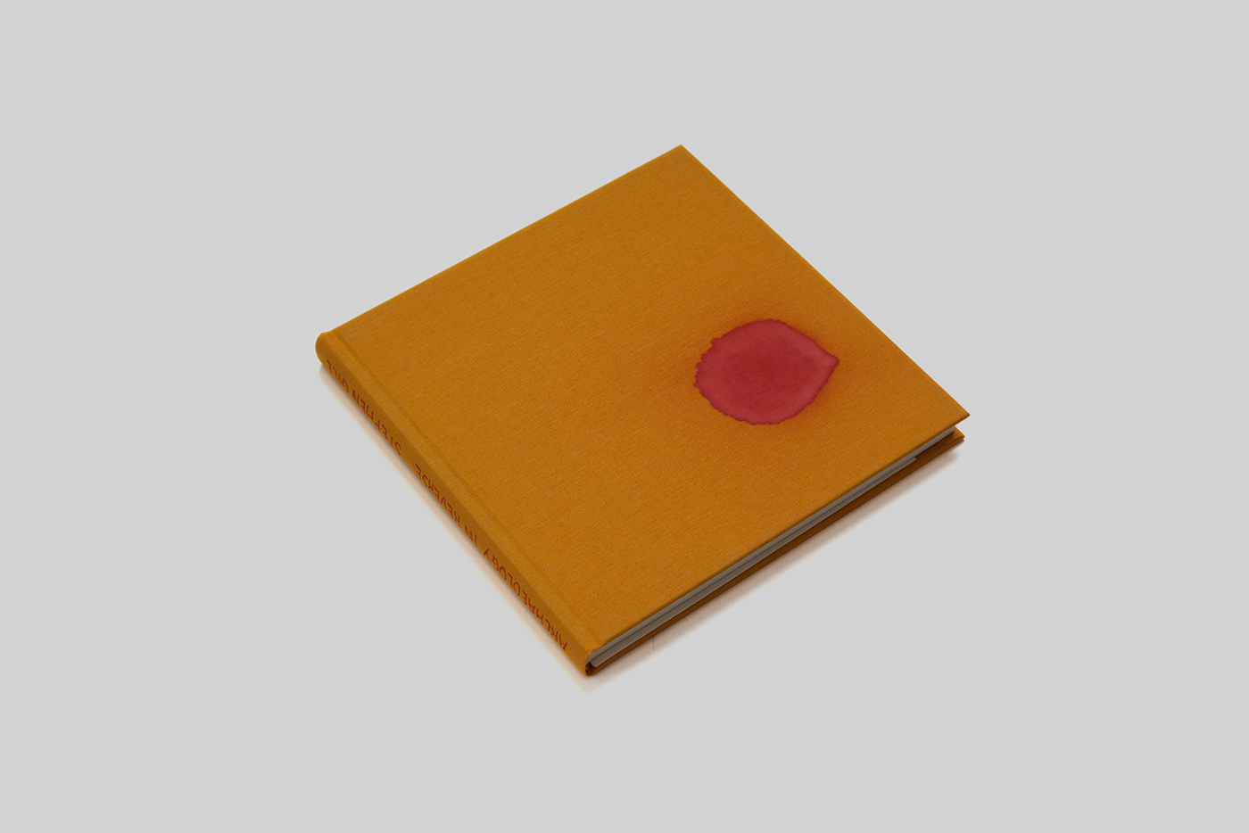 Archaeology in Reverse (Special Edition) – Stephen Gill – Archive