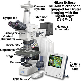 Nikon Eclipse E600 | Home of Archaeology at Berkeley