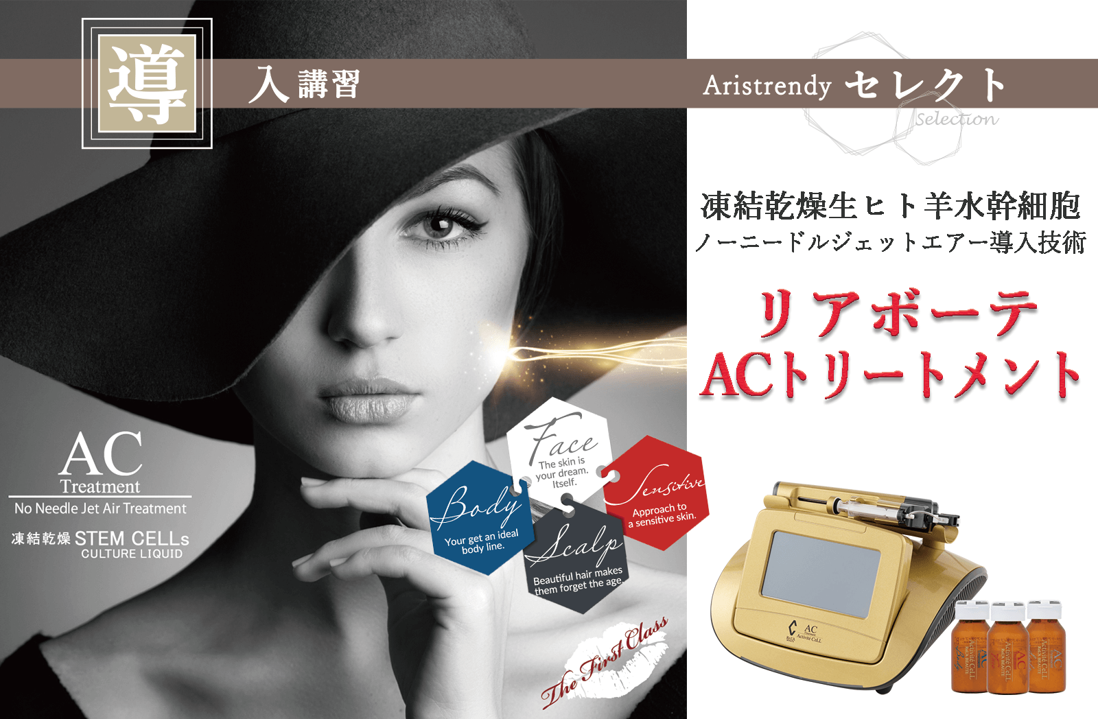 リアボーテ AC トリートメント | アリストレンディ公式サイト｜ エステ