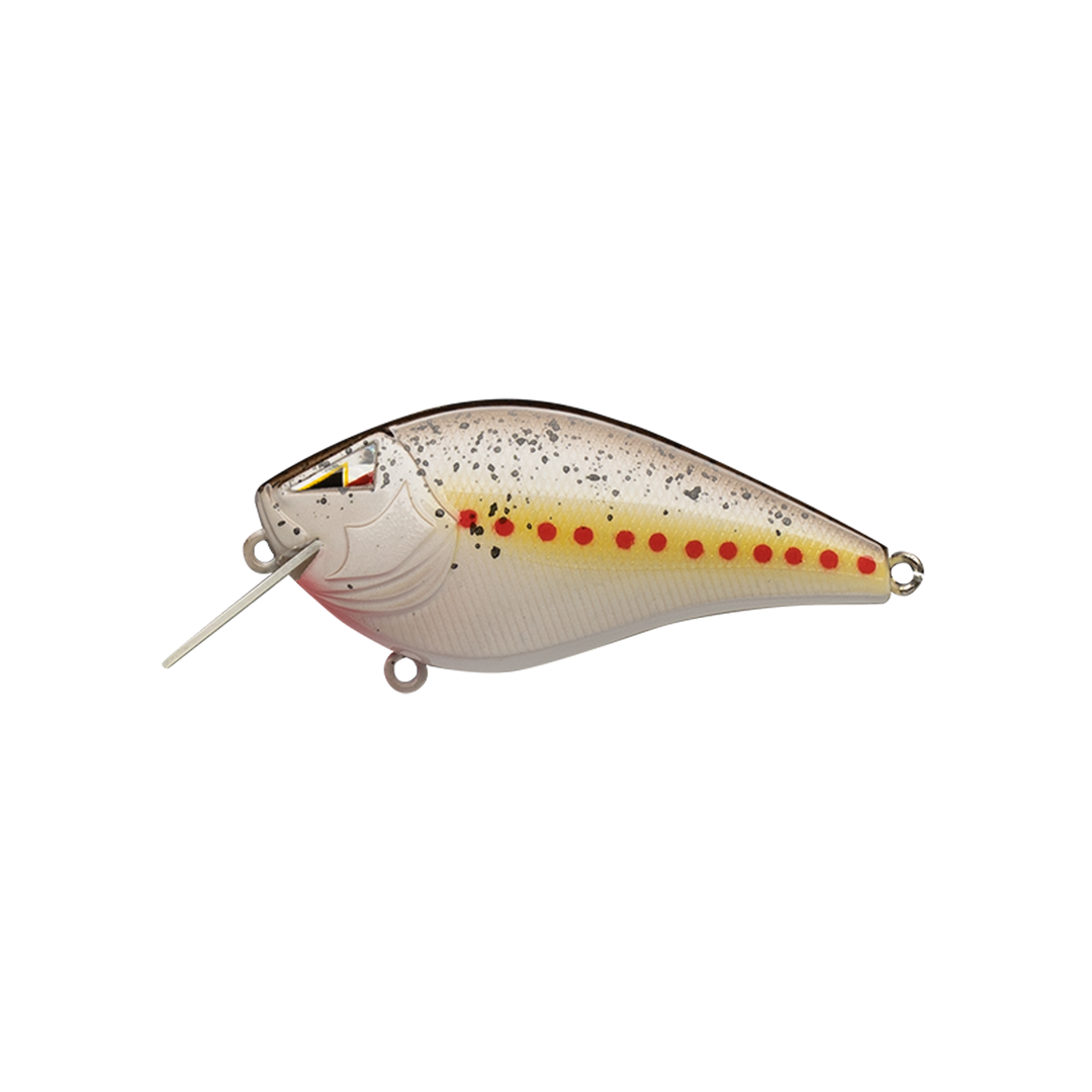 ARK Elite Z-alpha S 1.5 / S 2.5 Silent Squarebill – ARKFishing