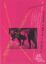 森山大道「裏町人生～寺山修司」：artscapeレビュー｜美術館・アート