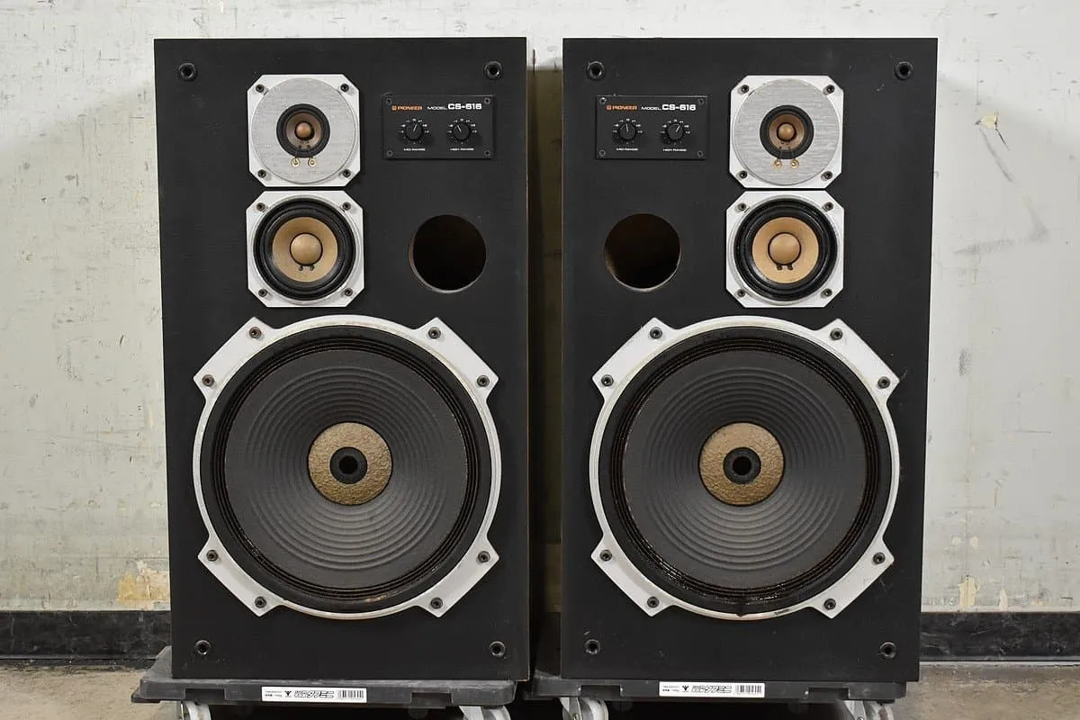 Pioneer スピーカー CS-V12 ペア PIONEER パイオニア CS-V12