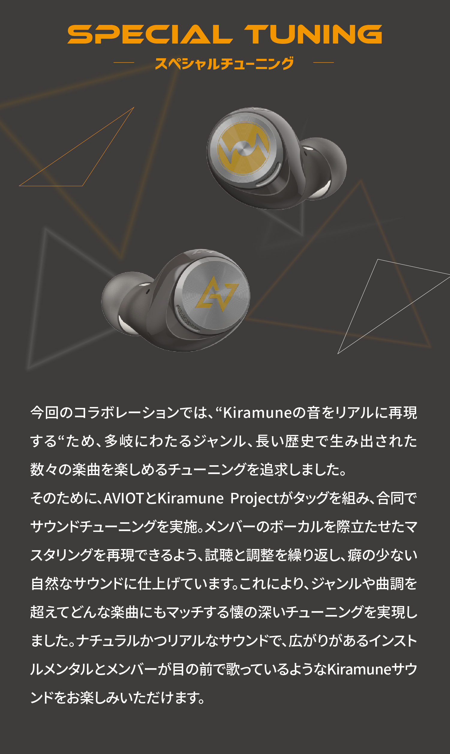 TE-D01v-KRM 製品情報｜AVIOT