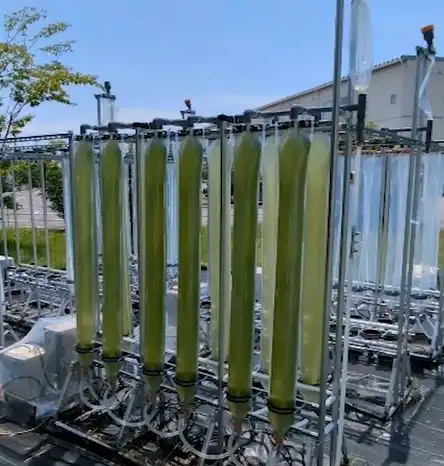 大塚テクノ株式会社 樹脂バッグ式微細藻類培養装置の製品紹介 | アズ