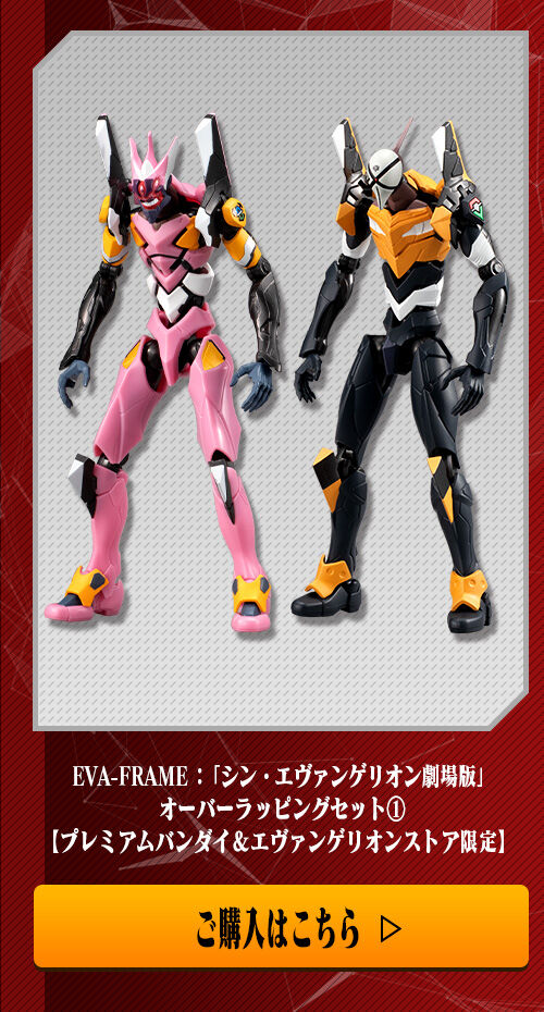 EVA-FRAMEオーバーラッピングセット2品同時購入で送料無料クーポン