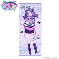 アイカツ！スタイル限定】アイカツ！シリーズ ユニット Chibi