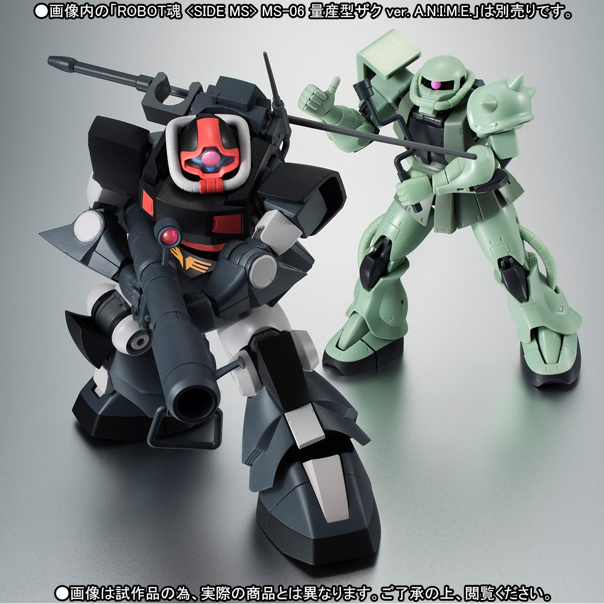 ROBOT魂 〈SIDE MS〉 YMS-09 プロトタイプ・ドム ver. A.N.I.M.E.