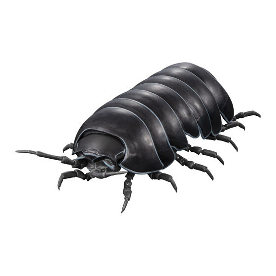 いきもの大図鑑アドバンス ダンゴムシ｜ガシャポンオフィシャルサイト