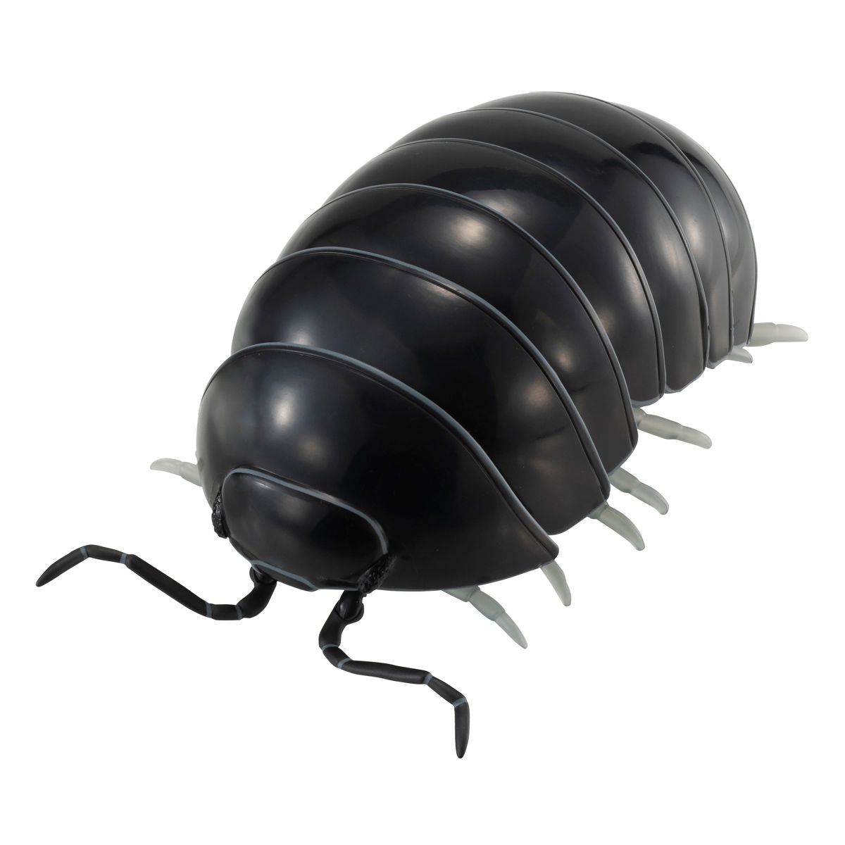 だんごむし06 だんごむしととらふからっぱ【2次：2020年8月発送