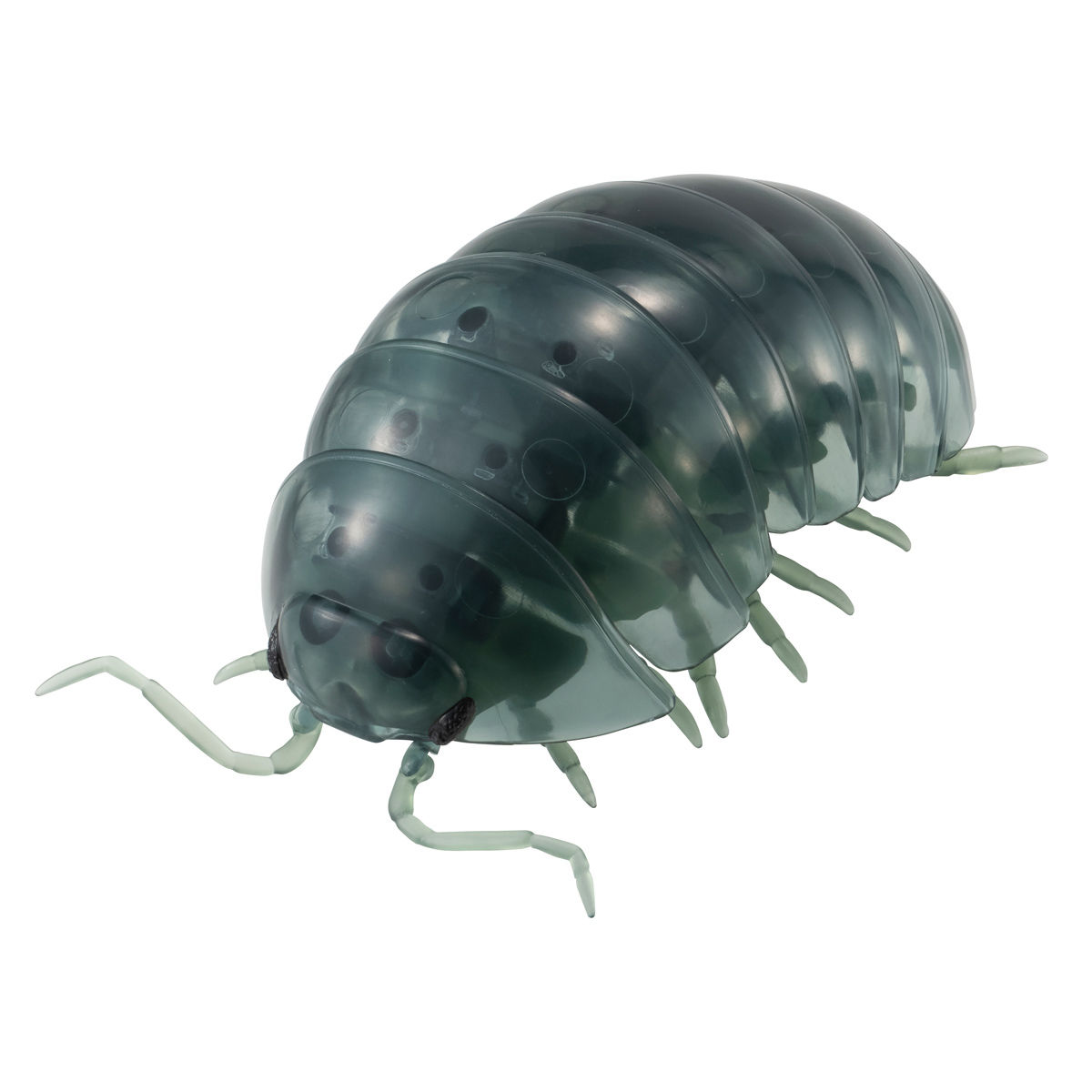 だんごむし06 だんごむしととらふからっぱ【2次：2020年8月発送