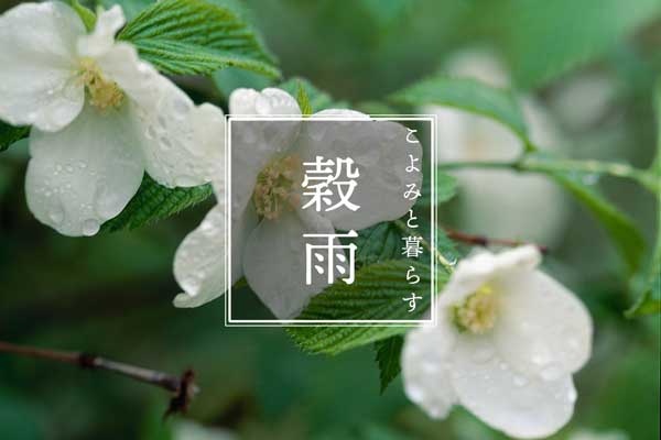 新ビオめがねケース｜BAN INOUE