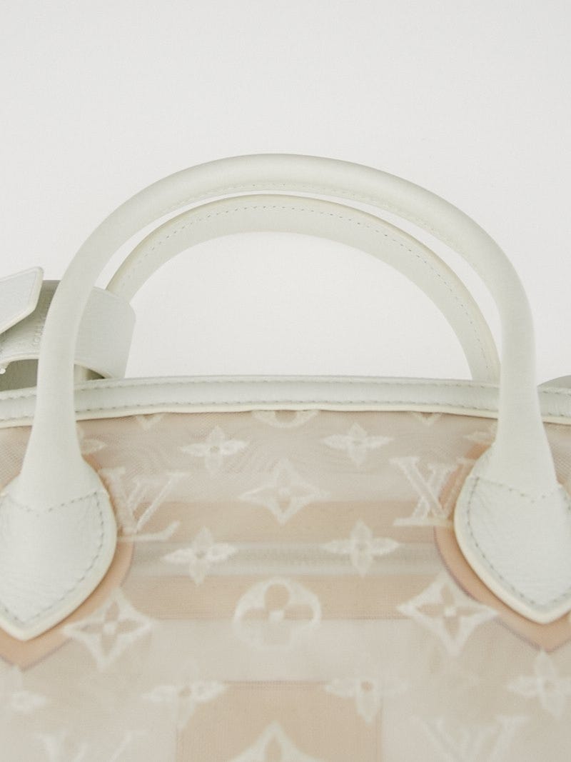 Louis Vuitton Limited Edition Monogram Transparence Lockit Bag