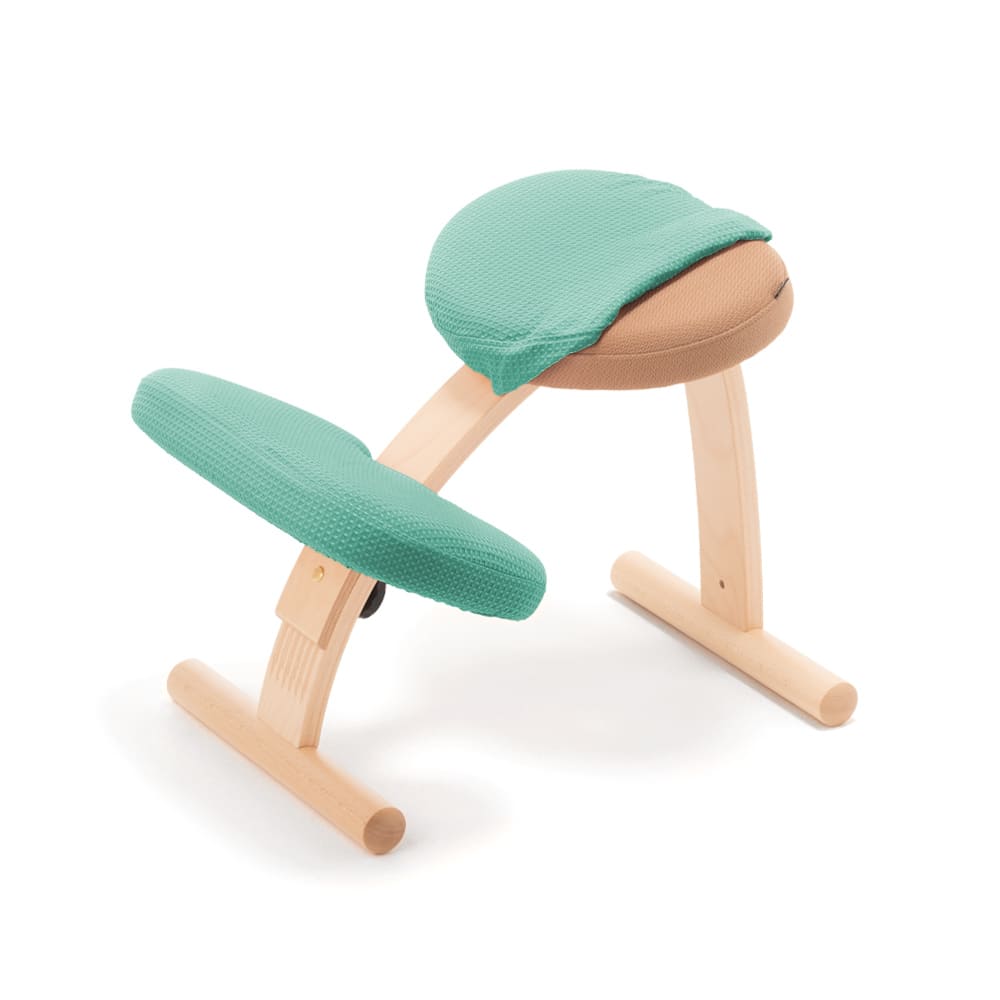 バランス イージー専用｜はっ水カバー バランスラボ – バランスチェア