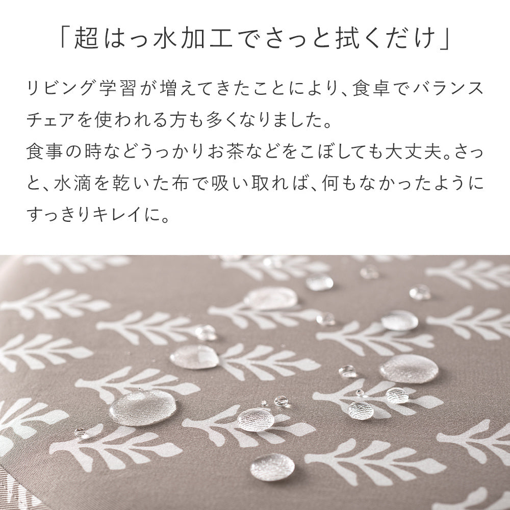 バランス イージー専用｜推しカバー Branch ブランチ バランスラボ