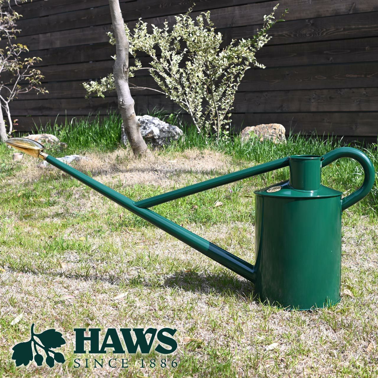 000000006273-01.jpg?size=l&w=