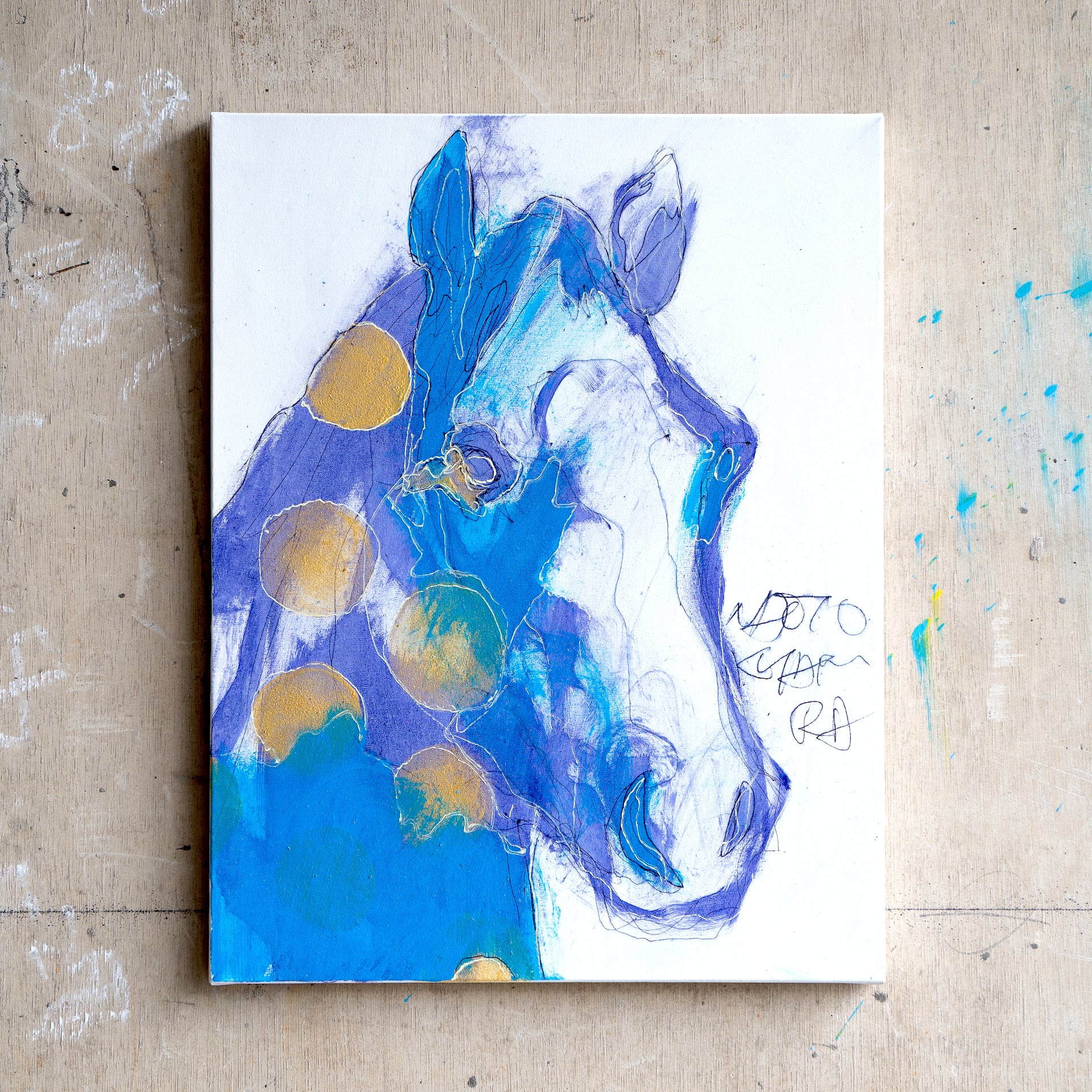 11db456679ce12ebe65e06724009d3