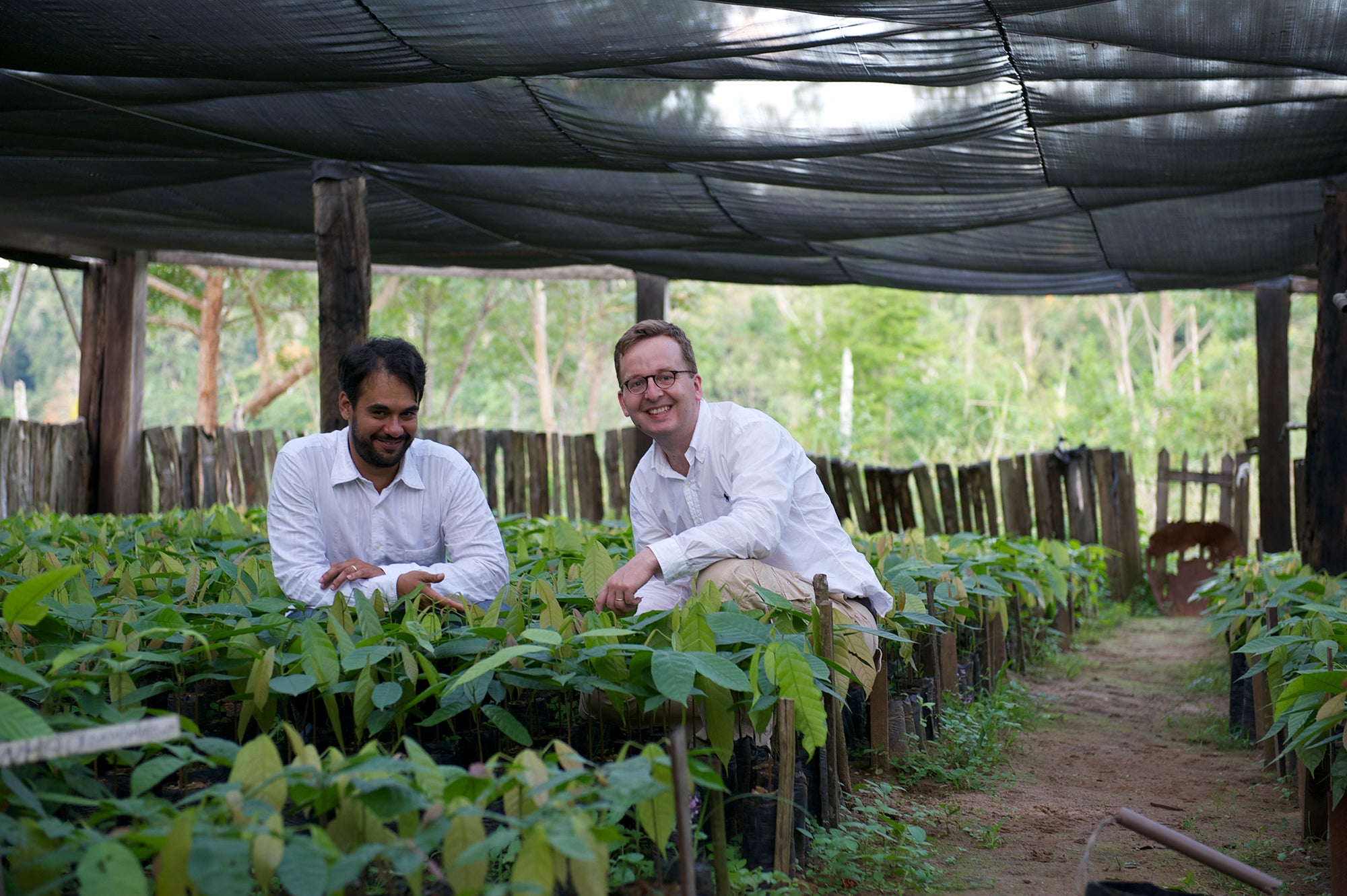 ラジェド ド オウロ｜ブノワ・ニアン（BENOIT NIHANT）オンラインショップ