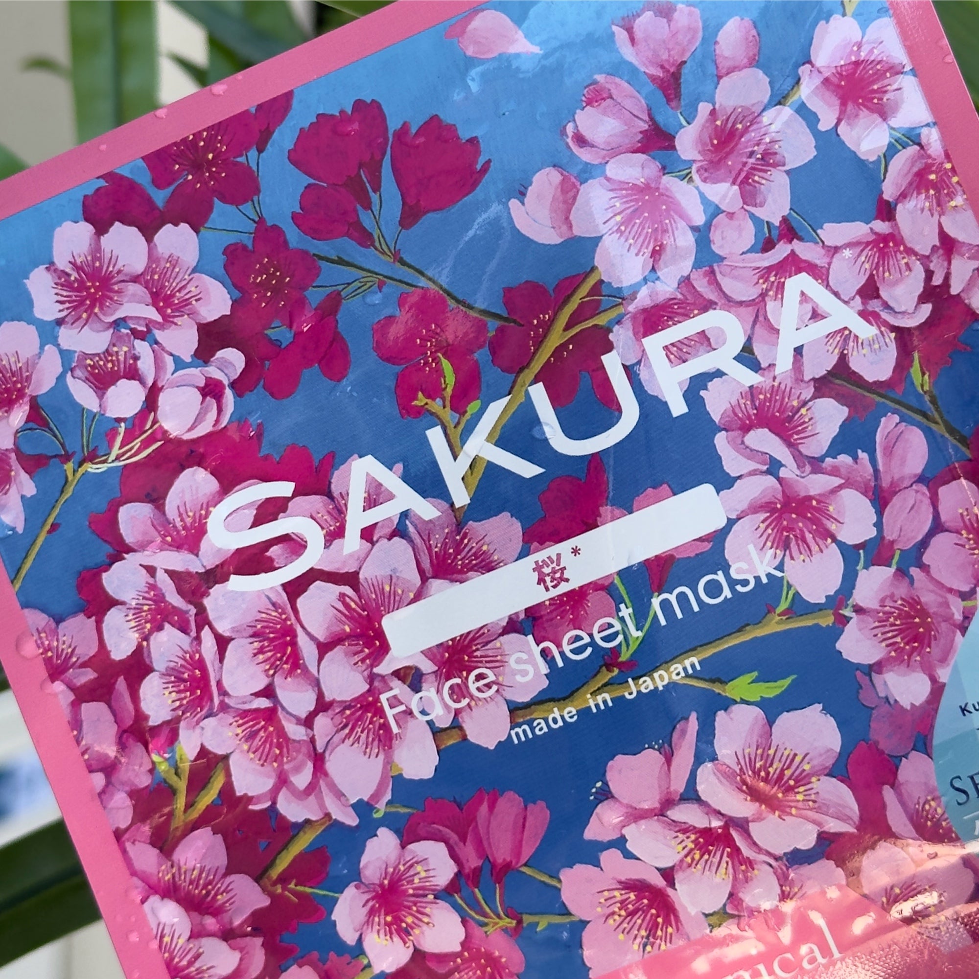 Ryu Spa Sakura Botanical Face Sheet Mask (1 pc) – Beauty Ninja