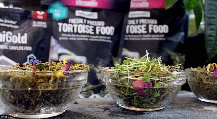 Optimised52 Tortoise Diet