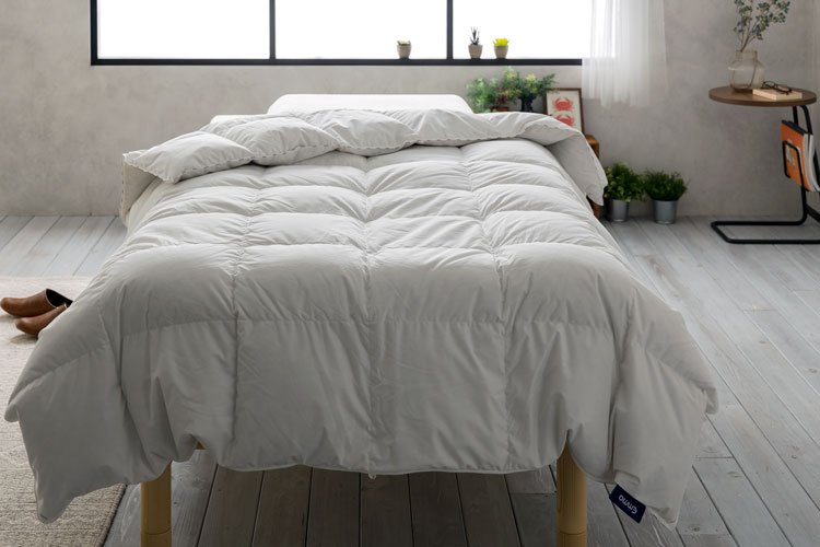 まるっとレビュー】エマスリープのまくら・プロテクター・羽毛掛け布団