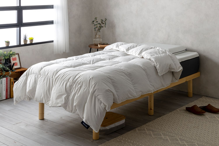 まるっとレビュー】エマスリープのまくら・プロテクター・羽毛掛け布団