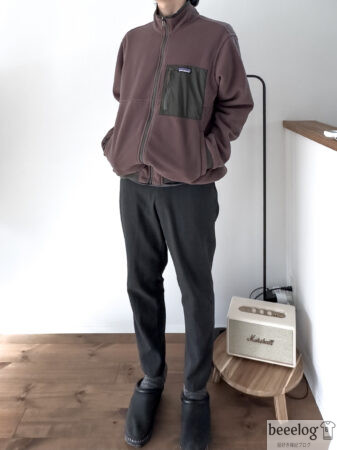 パタゴニア】リバーシブルシェルドマイクロディニジャケットをレビュー