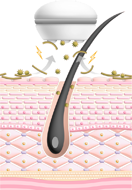 公式】セルキュア4TPLUS | プロが認める本物の美顔器