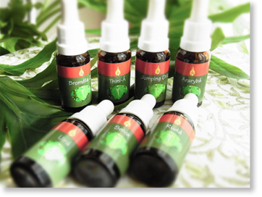 アラレタマ フラワーエッセンス レインフォレスト フラワーエッセンス