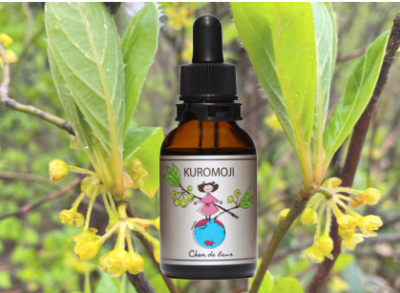 シャンドゥルール 東北の四季シリーズ 「クロモジ フラワーエッセンス