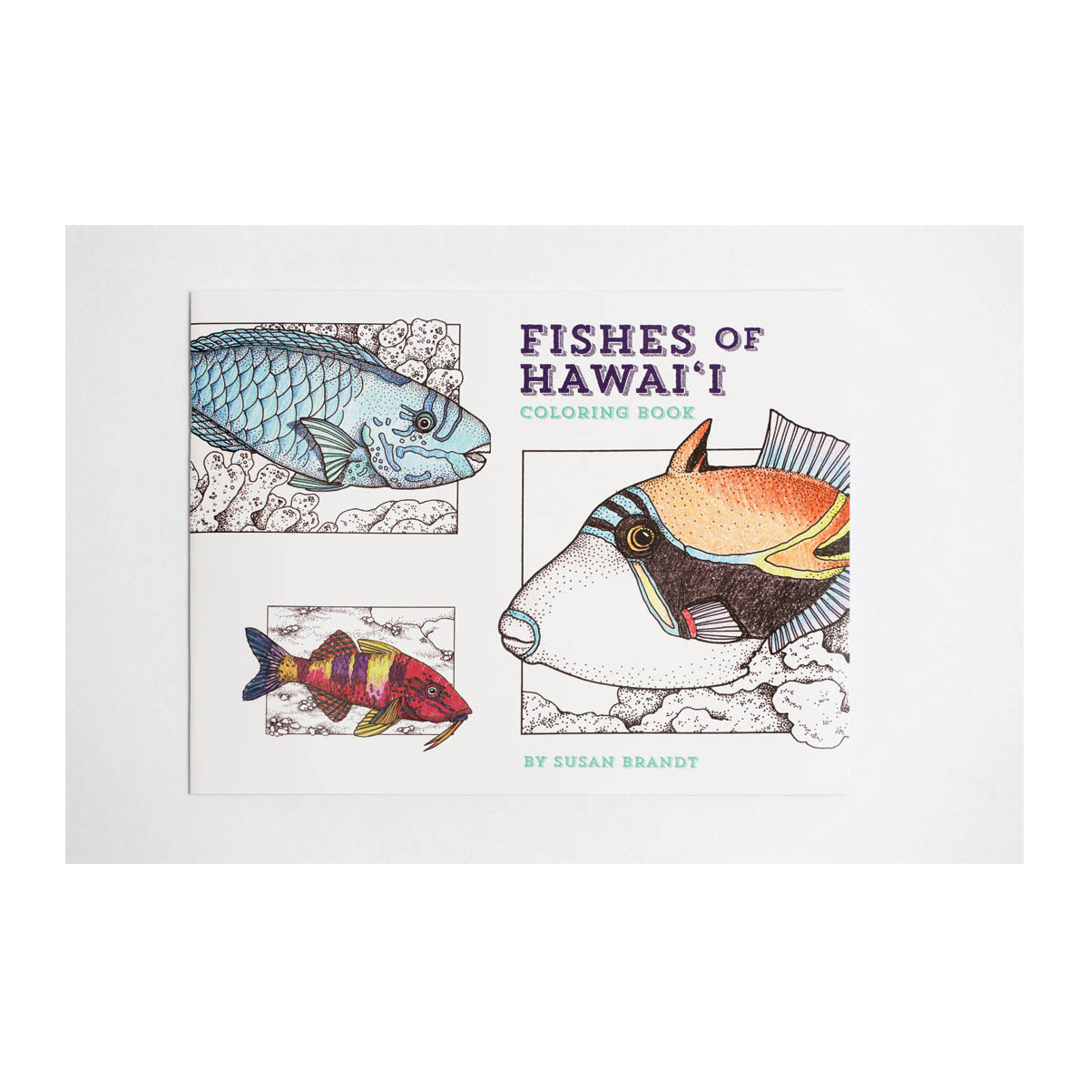 Fishes of Hawaiʻi Coloring Book – Bess Press
