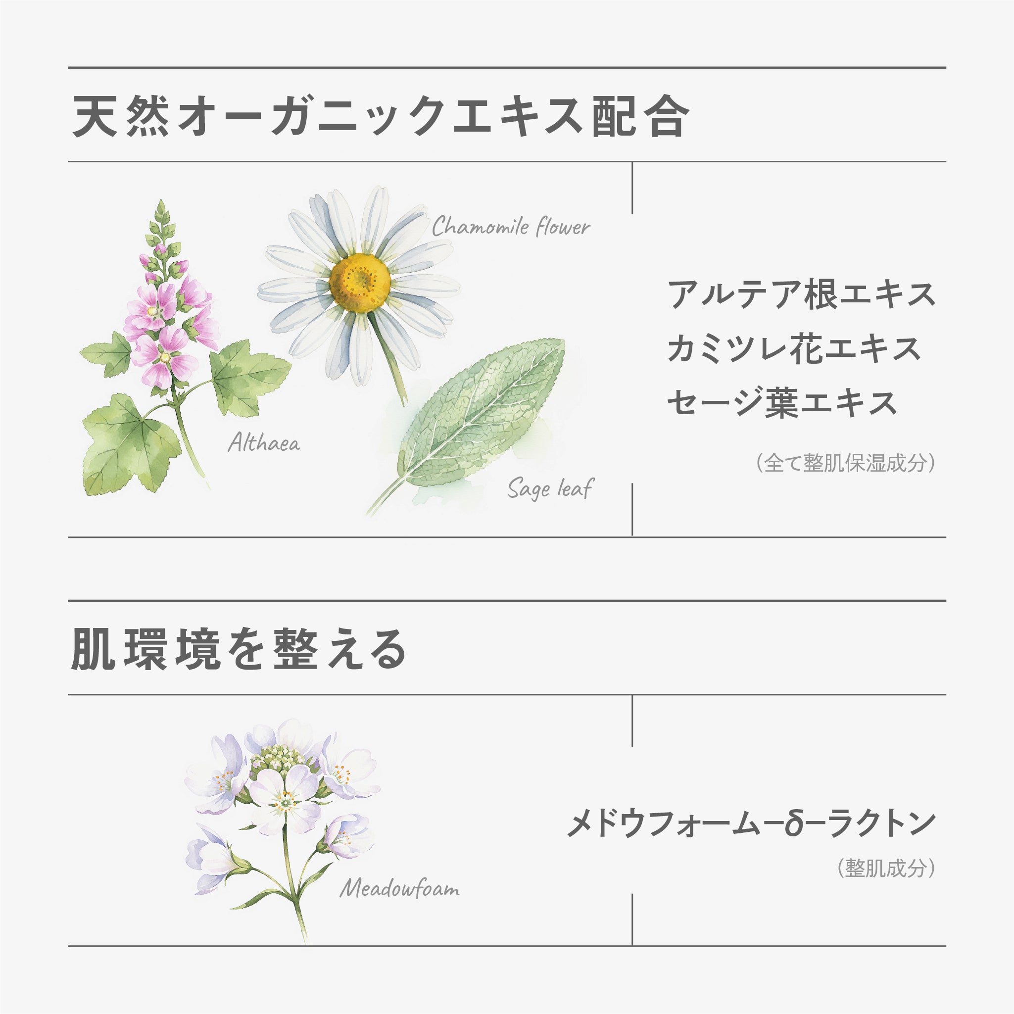 BF クリーム｜better future® – 【公式】better future®-ダチョウ抗体