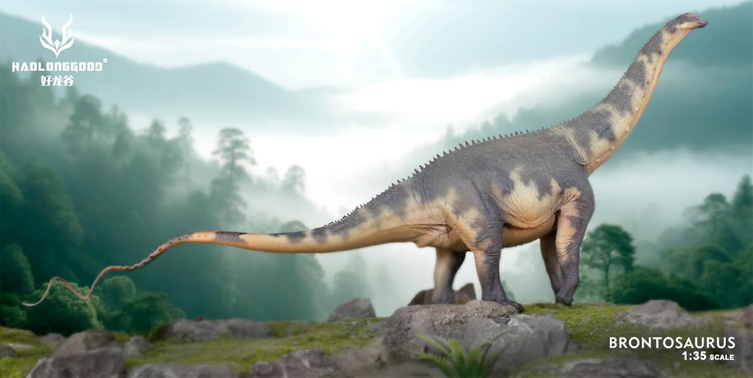 HAOLONGGOOD 1/35 サイズ ブロントサウルス 45.5cm級 PVC CE認証 塗装