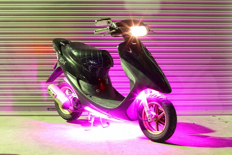 ピンクの猫 ピンクの猫 ピンクの猫 ピンクの猫 ピンクの猫 ディオZX