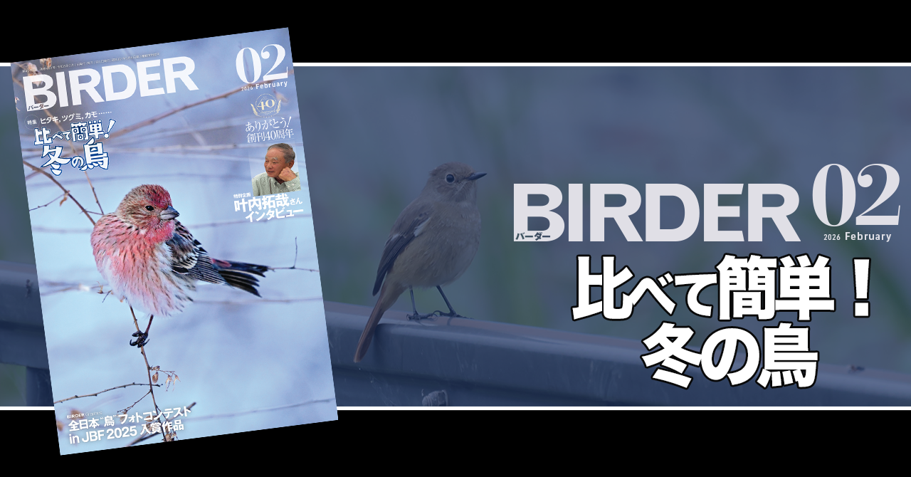 BIRDER.jp (Page 1)