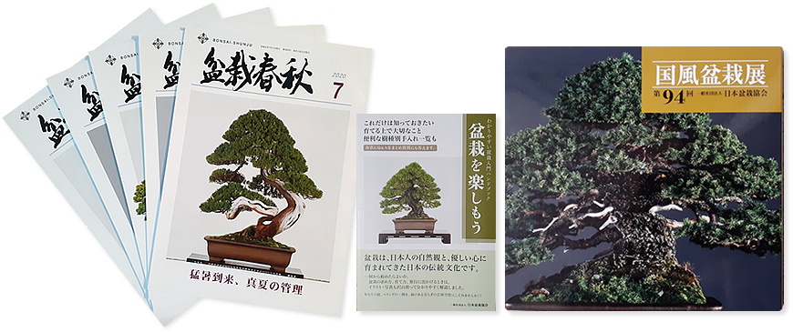 入会案内 | 【公式】一般社団法人 日本盆栽協会