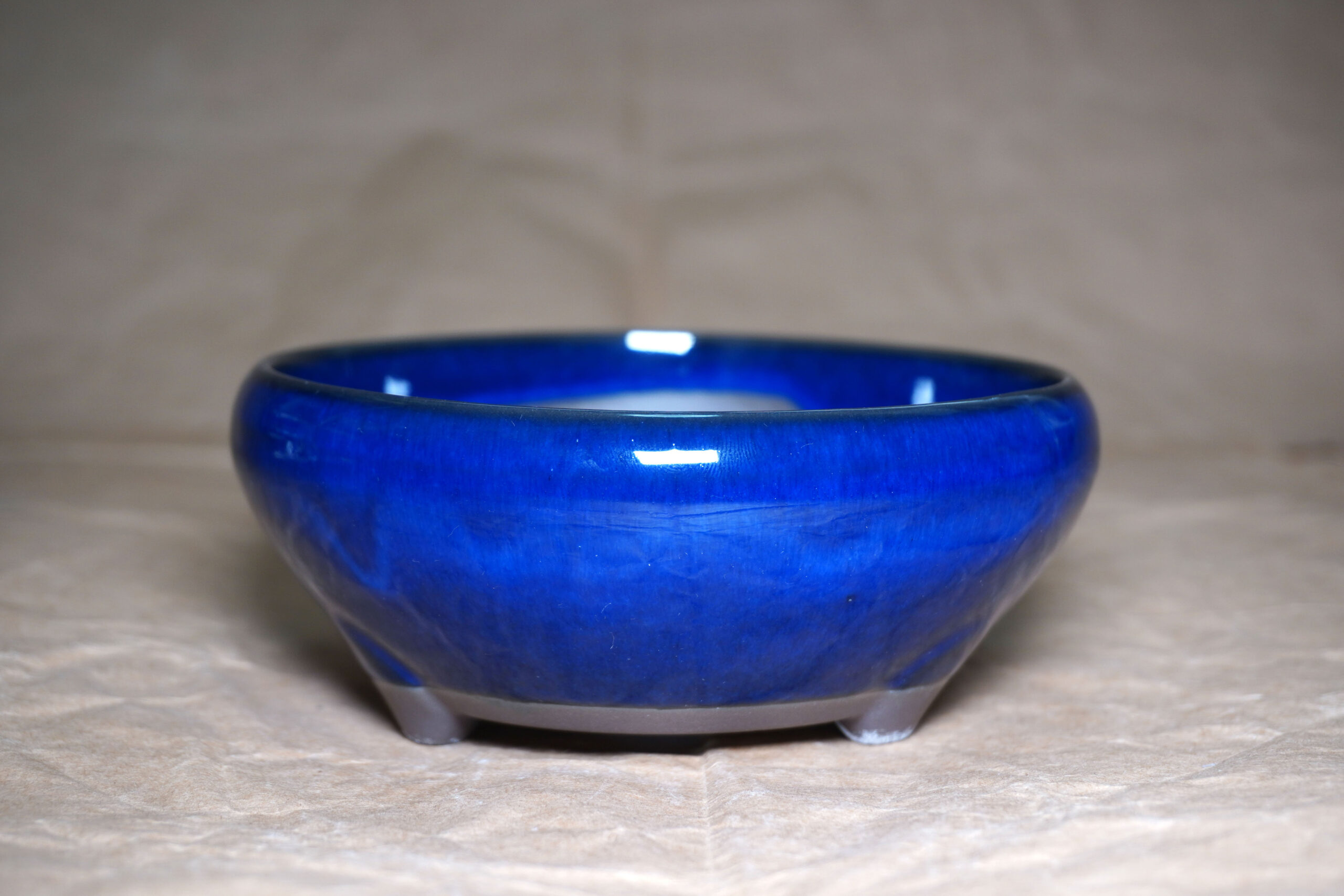 ヒメリンゴの盆栽鉢を買ったら勉強になった