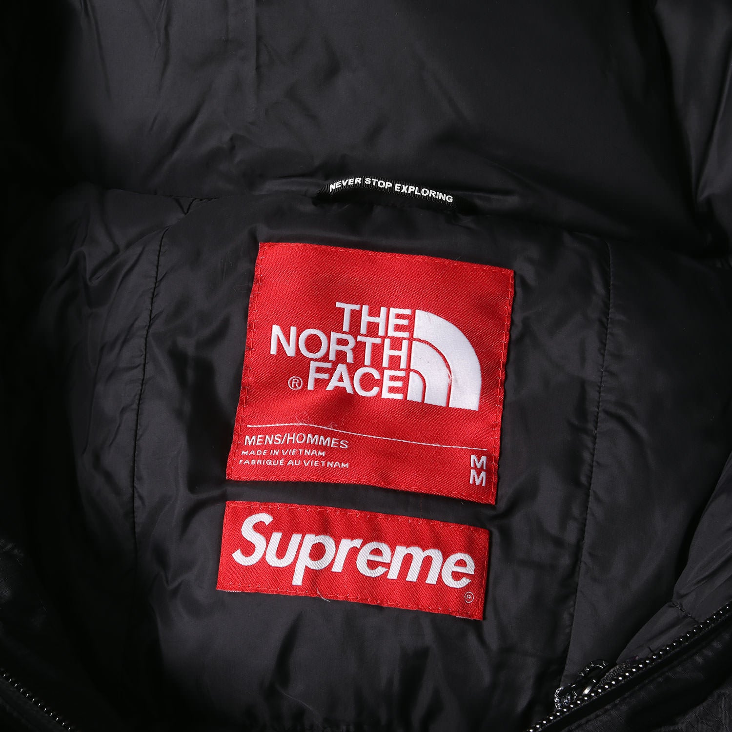 Supreme (シュプリーム) 20AW ×THE NORTH FACE Sロゴ ヒマラヤン