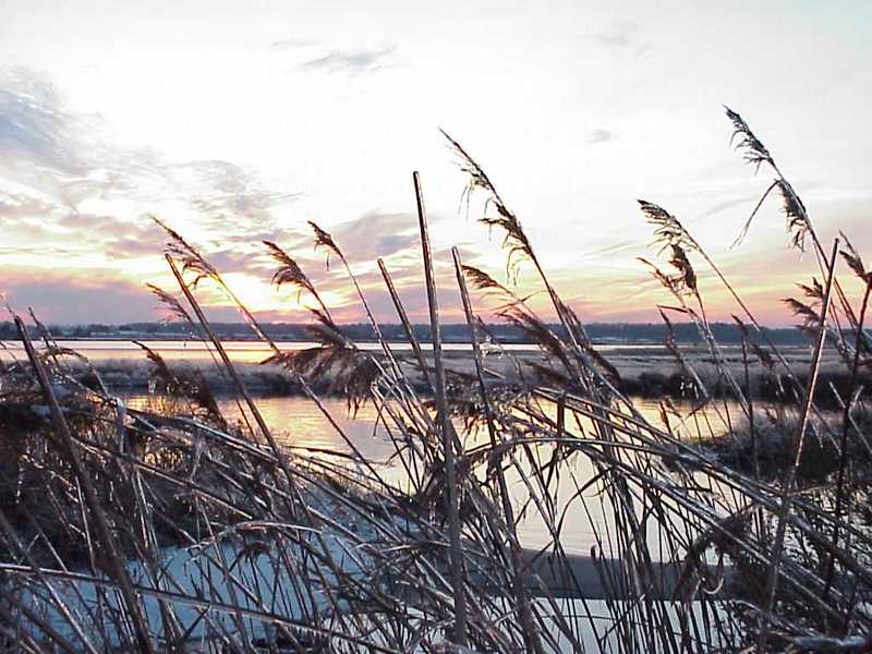 The Different Sel de Vetiver : Perfume Review - Bois de Jasmin