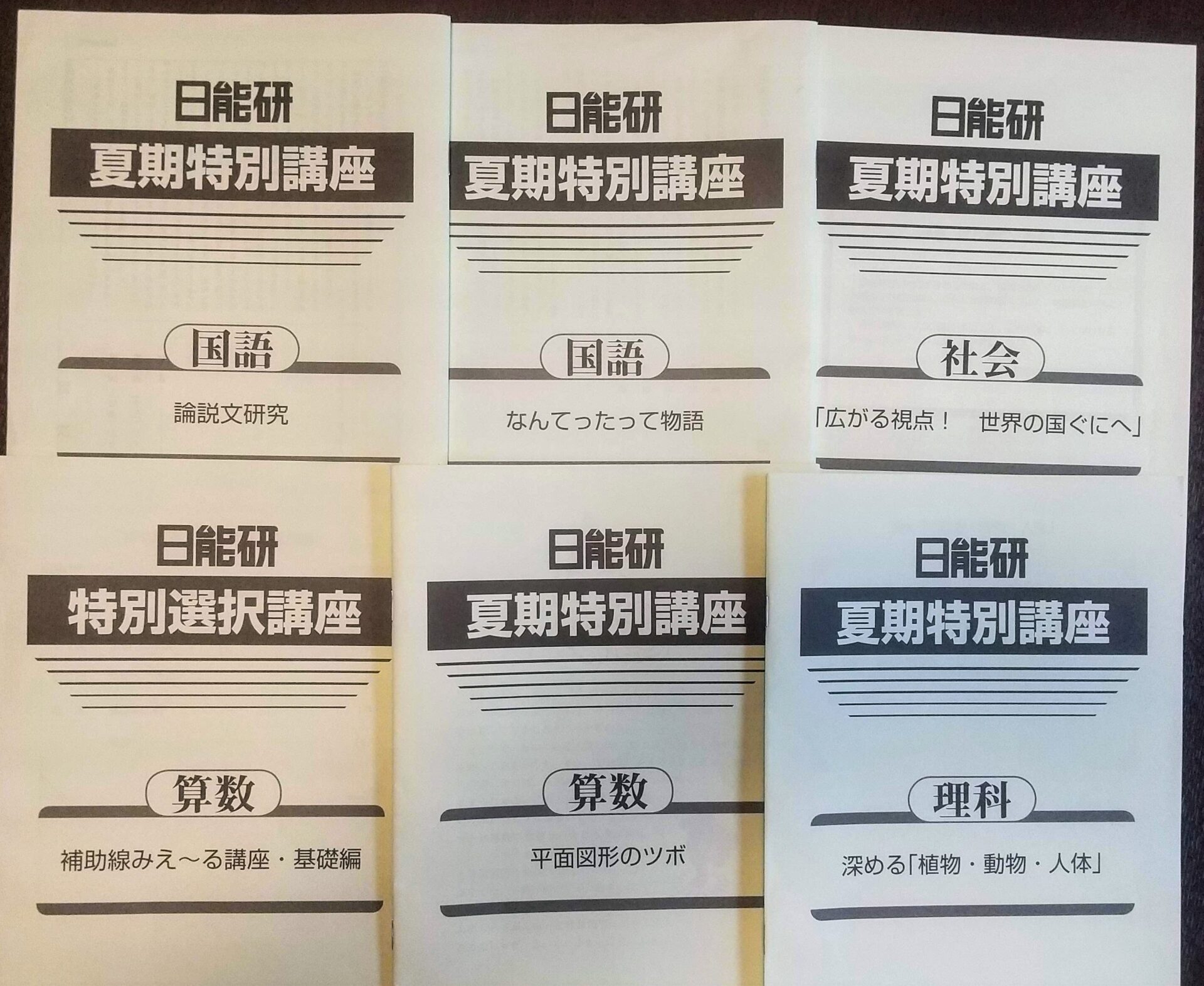 日能研 夏期特別講座 受講して分かったメリット【中学受験】