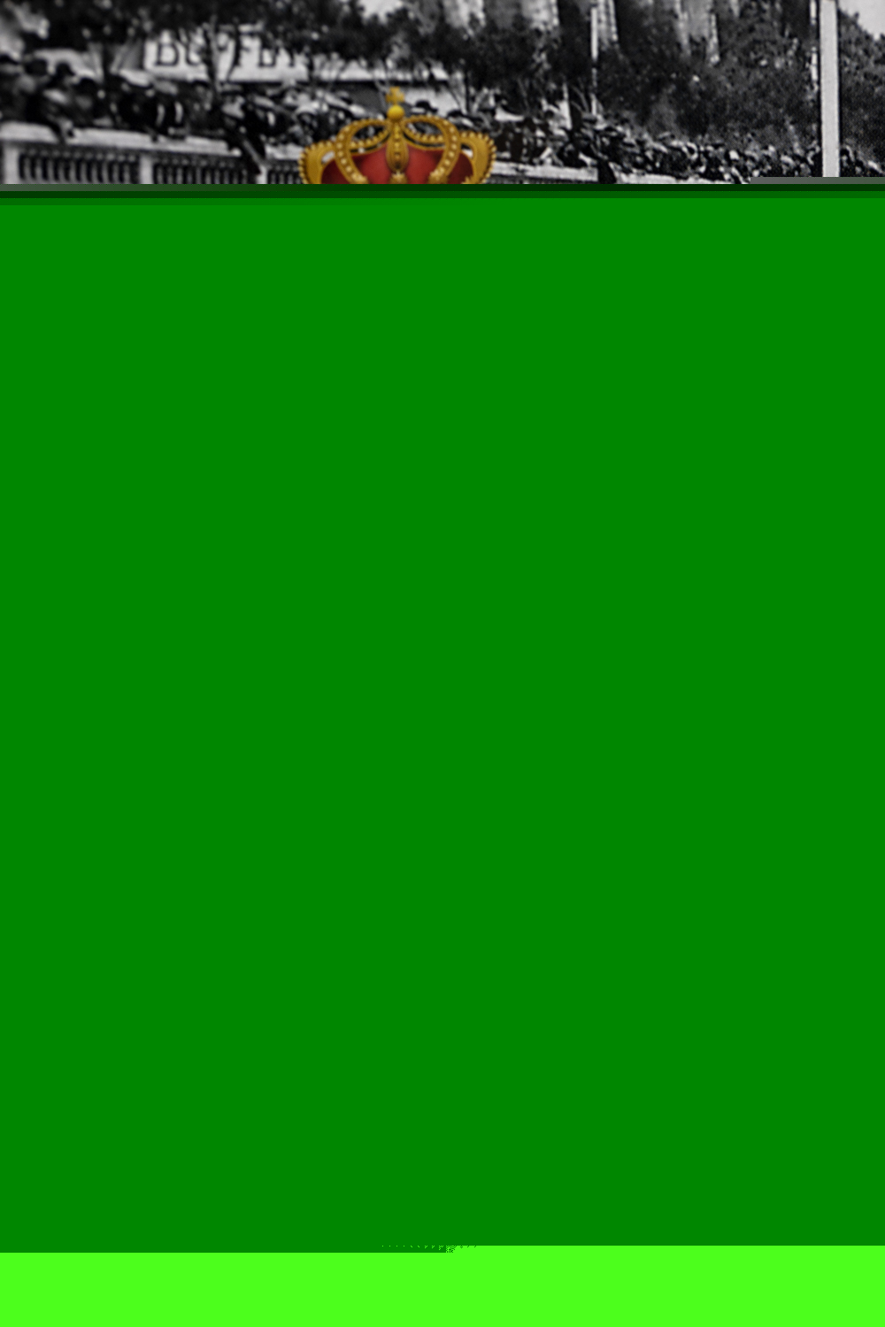 F1 DVD The History of MOTOR RACING 【公式通販】