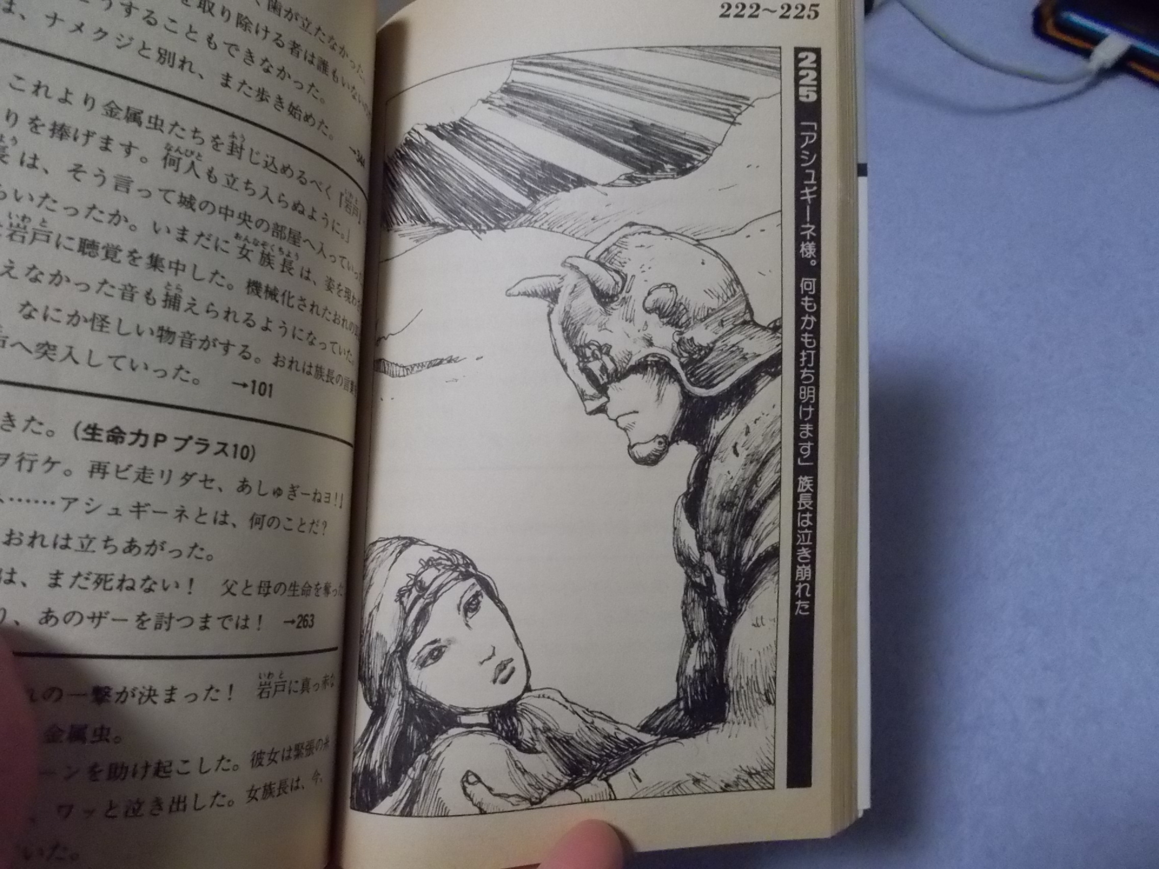 アシュギーネ 爬人の邪都(滝沢一穂、木川明彦 1988年 ケイブンシャ