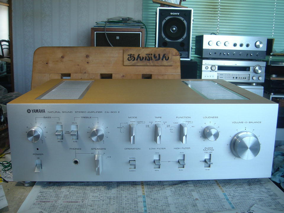 CA-800Ⅱ 1日目 - アンプとインプとの日々