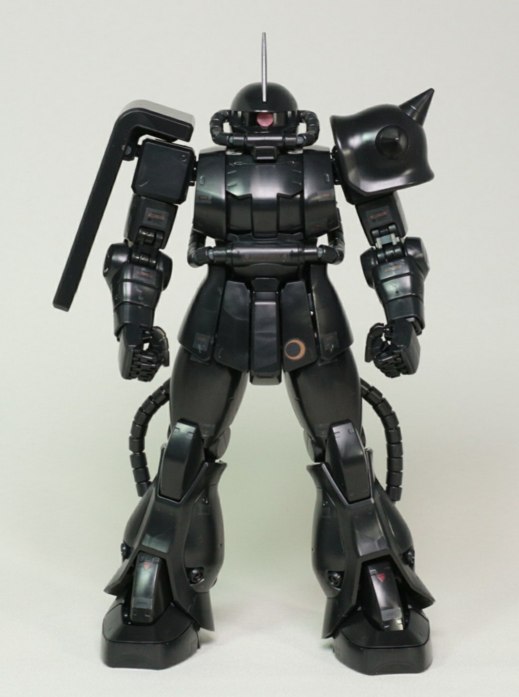 ジオン公国軍 指揮官用モビルスーツ MG 1/100 MS-06LS LUNA SEA専用